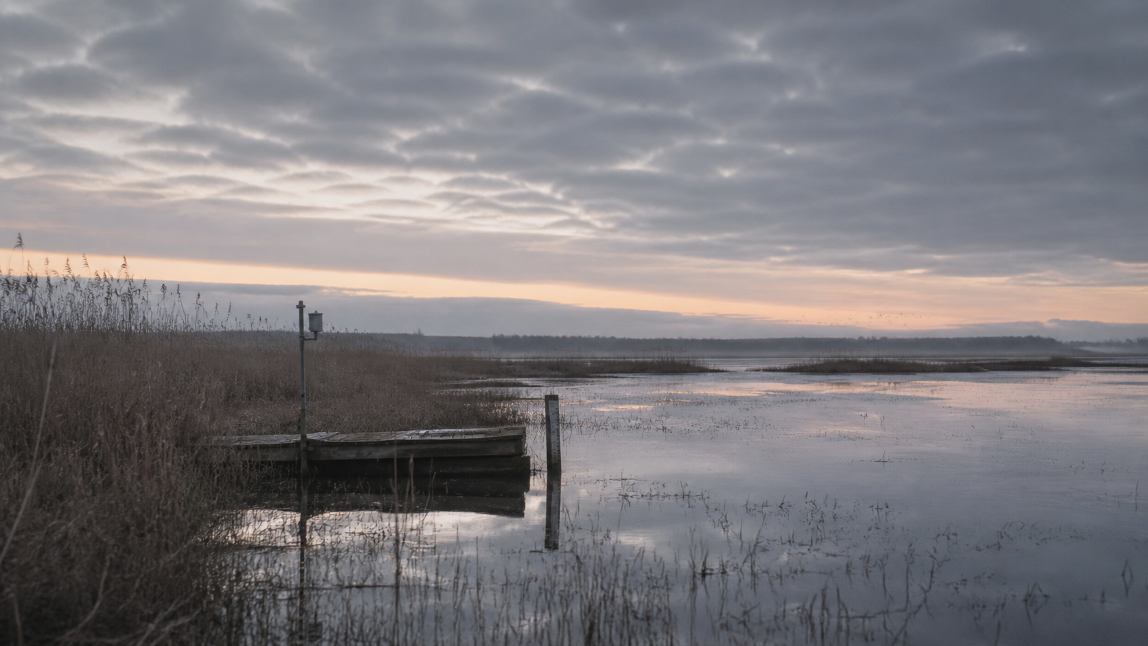 Reedbed monitoring station reflected in calm water at dawn